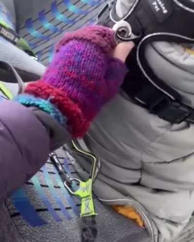 Truly what a fantastic bunch!