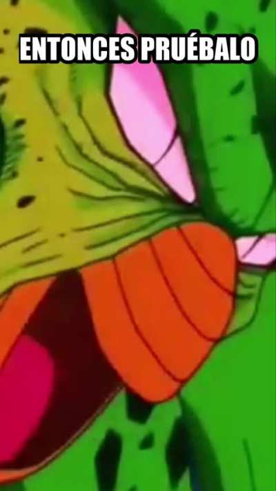 Picoro prueba el nevado