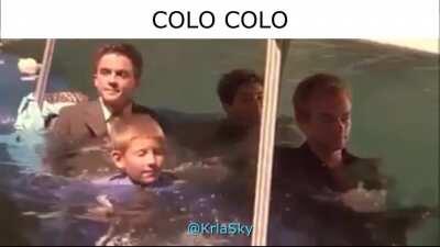 Que buen año para se hincha del colo por la rechucha