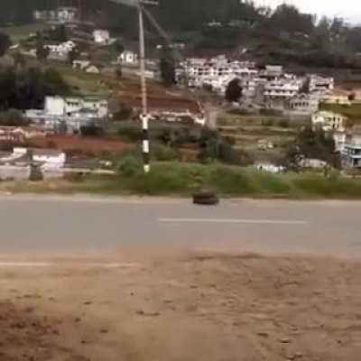 WCGW not wearing a seatbelt