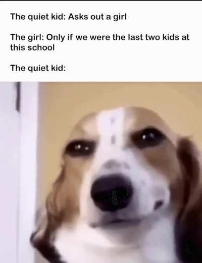 should NOT have said that