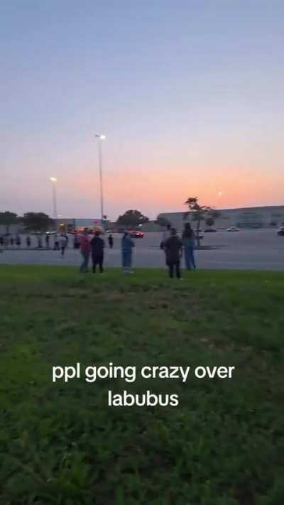 People going crazy at a mall trying to buy Beanie Babies