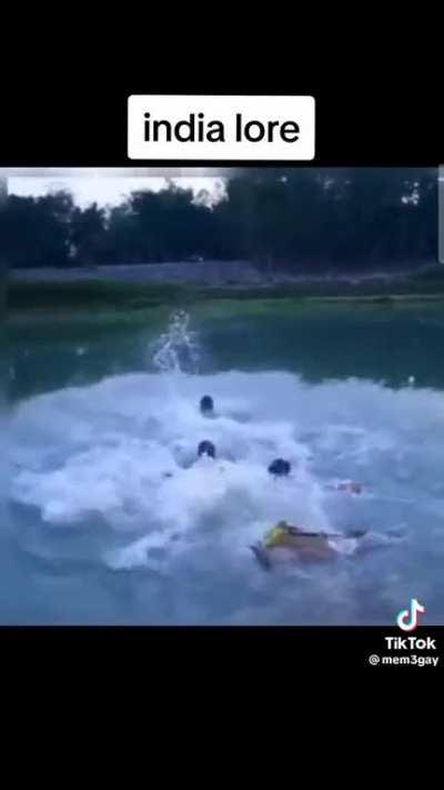 Moldy Avarega Reddit user moment 