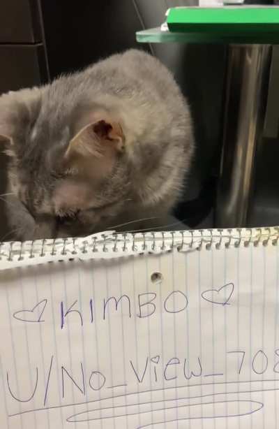 My kimbo needs help!