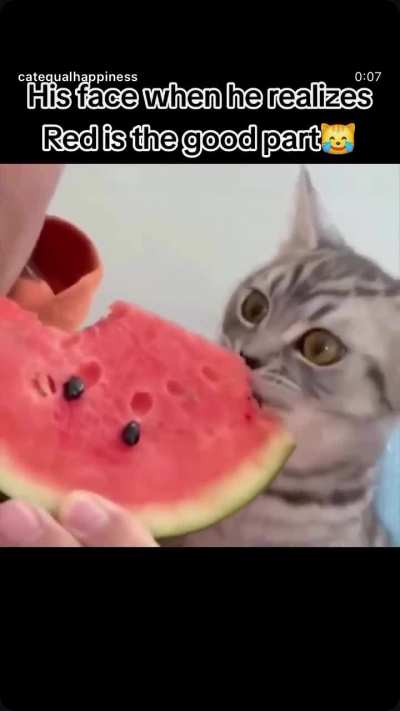 Wunkus discovers wunkusmellon