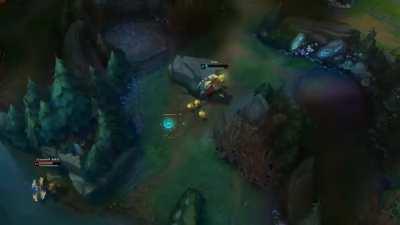 Best Bard i've ever seen.