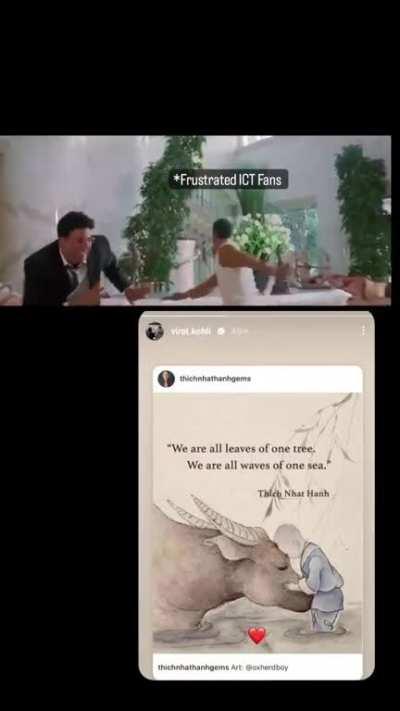 What's this behaviour Kya King??