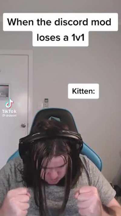 Just a discord mod and his kitten