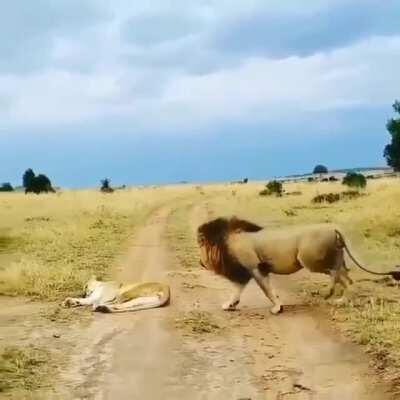 Messing with the wife