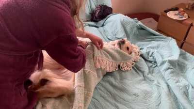 Baby due next week, getting in some practice.