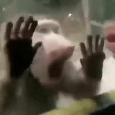 Yo cuando me quitan el kripi