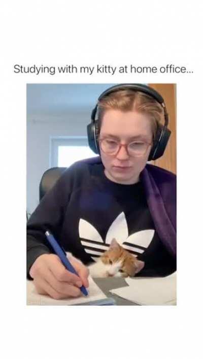 Love studying with my human