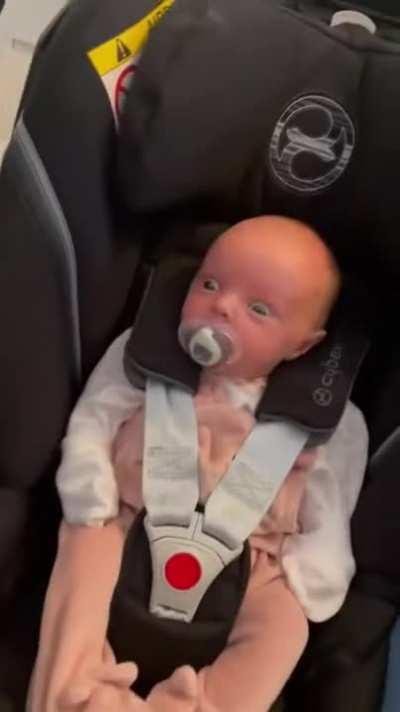 Reaction over seeing pet dog for the first time