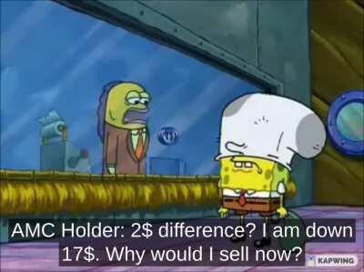 AMC Holder meets Short Seller