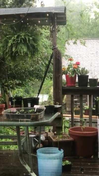 Raining on the garden station