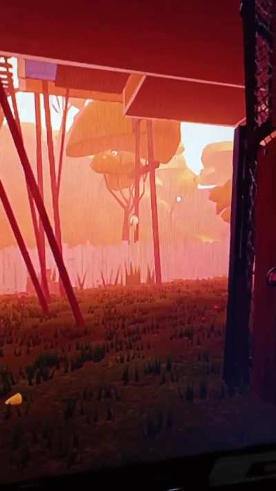 What is my neighbor doing.