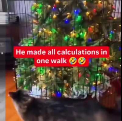 “I shall not be denied my stardom”