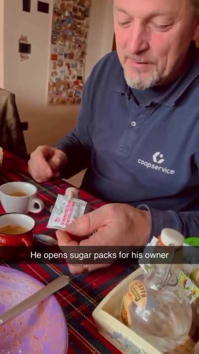 Not every birb is programmed to do harm 