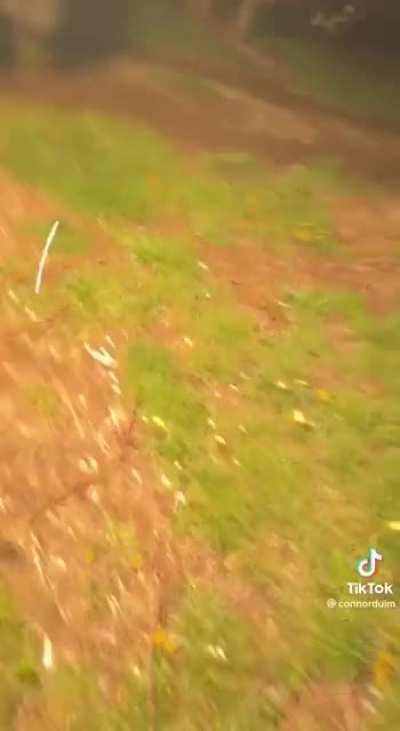 I can't stop watching this! Please, someone tell me what happened!