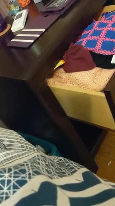 Where there is a will, there is a way.