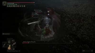 Commander Niall and his Knights set on Malenia tired of protecting the seal