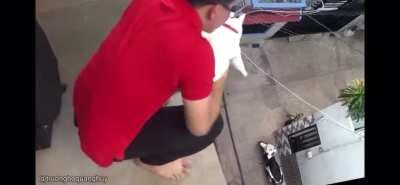 mAN THroWs CaT OFf siDE oF bUIlDInG