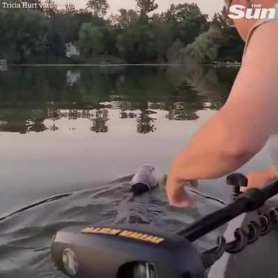 rescue a black bear swimming in a lake with its head stuck in a plastic jar
