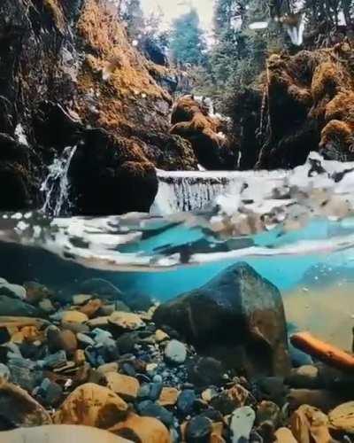 The sheer clarity of this waterfall in Alaska