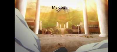 Who is the honoured boy?Who is the honoured boy?