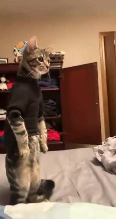 Indie’s a little weird…