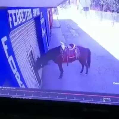 to park the horse