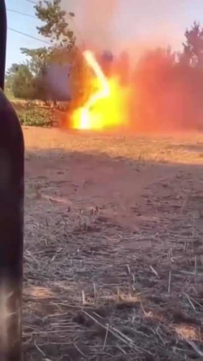 Fallen tree against power lines.