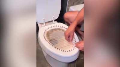 how to prevent clogged plumbing this thanksgiving