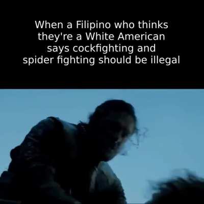 You can take away my dark skin, you can take away my curly hair, but you can never take away my culture