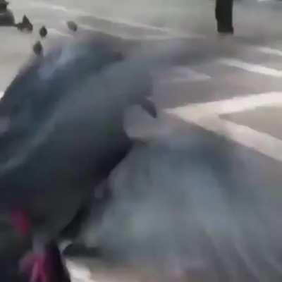 Michael when he sees Yvonne