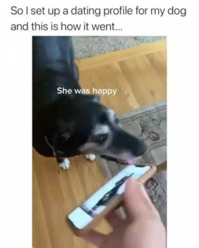 Creating a doggie dating profile