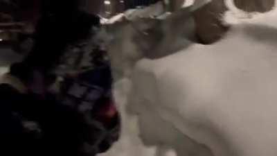 Seulgi sticking her face in the snow