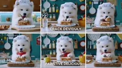 Sora shows puppies having a cooking class