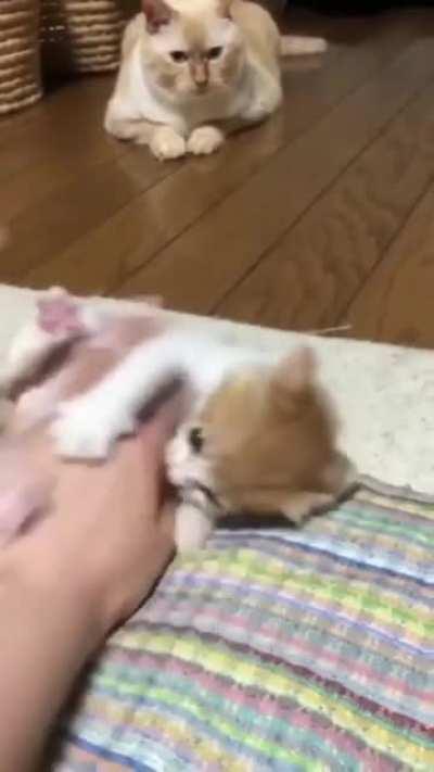 I ...willl...kill you