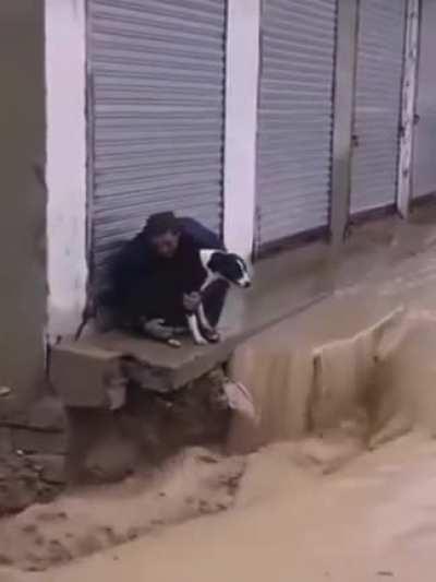 Pakistani man saves stray dog in severe floods just as the ground crumbles behind then