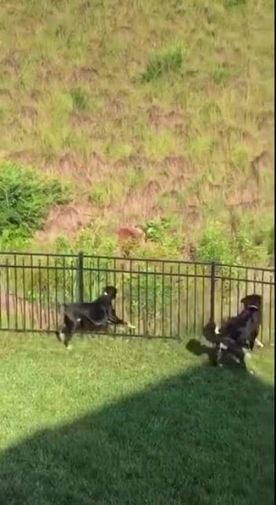 Who&rsquo;s the tough guy now?!