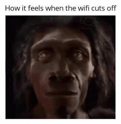 Reject internet... return to monke