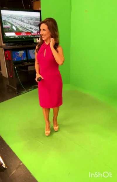 Vivian Gonzalez (wsvn)