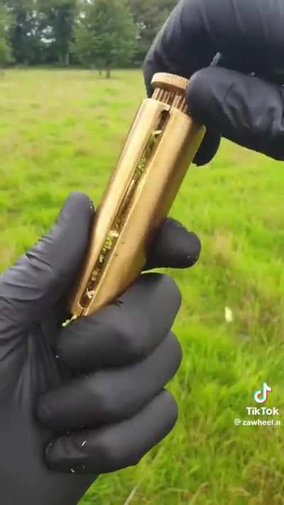 Dat Za Wheel 😈😈😈