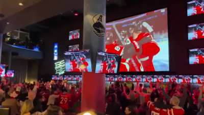 Canadians erupt in joy after win in sports bar in Toronto.