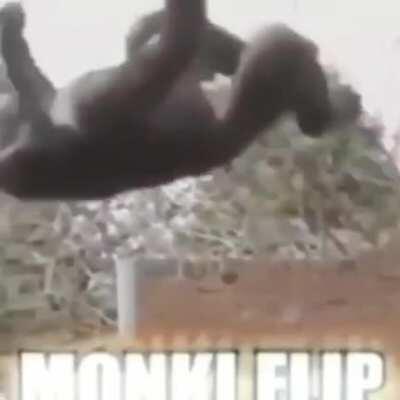 monkey flip