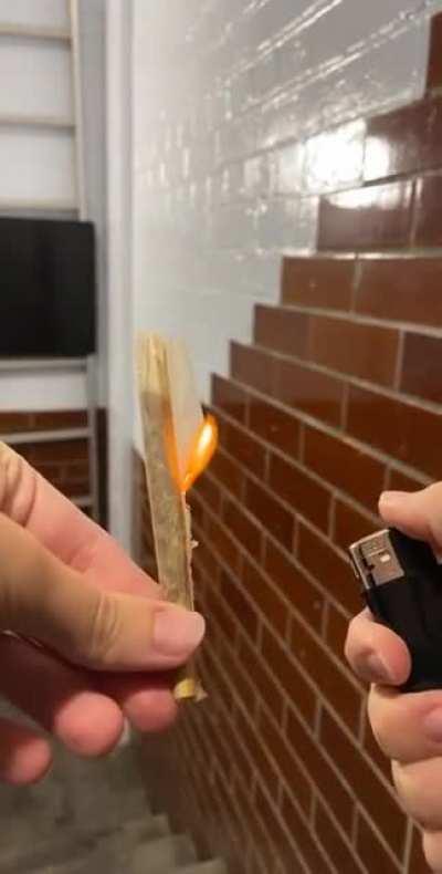 Have a nice evening my friends :)