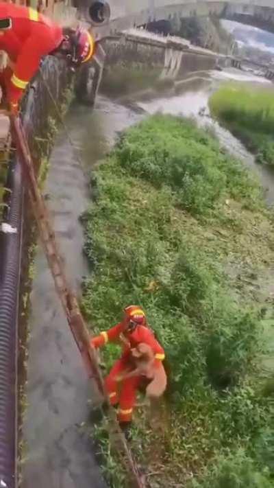 This guys proves that not all heroes wear capes...