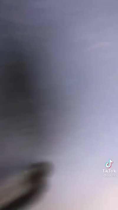 Trash Panda makes off with a food order 🤣