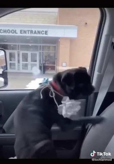 He was reunited with his dog after 3 months